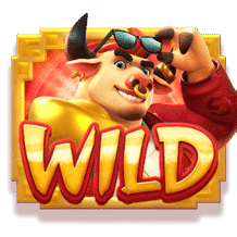 สัญลักษณ์ WILD